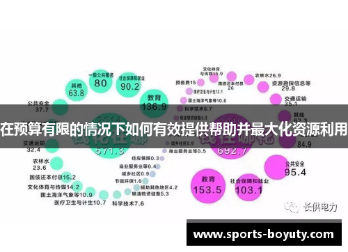 在预算有限的情况下如何有效提供帮助并最大化资源利用